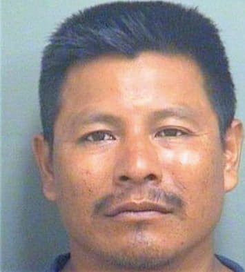 Juanmartin Domingo - PalmBeach County, FL 