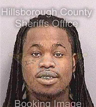Mcneal Deandre - Hillsborough County, FL 