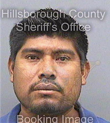 Juarez Juan - Hillsborough County, FL 