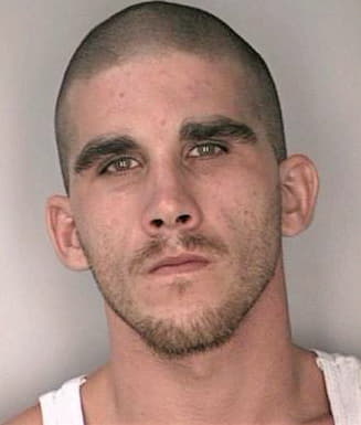 Mclaughlin Thomas - Hillsborough County, FL 