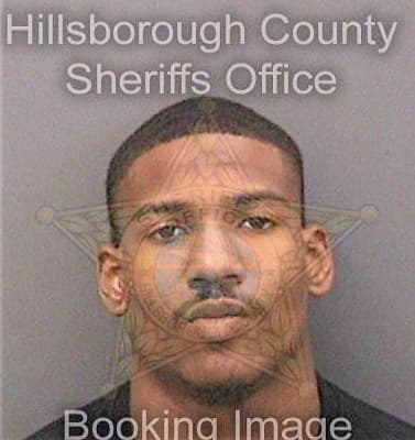 Joseph David - Hillsborough County, FL 