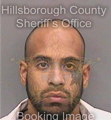 Sanchez Daniel - Hillsborough County, FL 