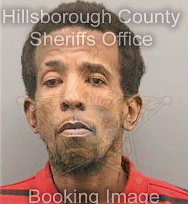 Thompson Gregory - Hillsborough County, FL 