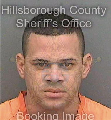 Concepcionrodriguez Michel - Hillsborough County, FL 