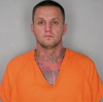 Mclaughlin Shane - Hillsborough County, FL 
