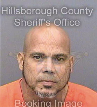 Melendez Hector - Hillsborough County, FL 