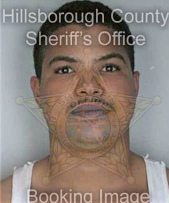 Soto Sergio - Hillsborough County, FL 