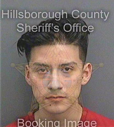 Frias Daniel - Hillsborough County, FL 