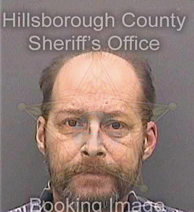 Messina Nicholas - Hillsborough County, FL 