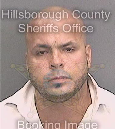 Feliciano Sherwin - Hillsborough County, FL 