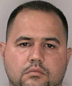 Perez Reynaldo - Hillsborough County, FL 