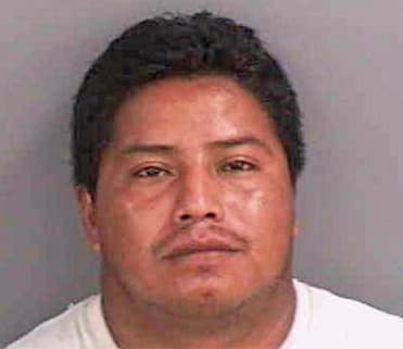 Hernandez David - Collier County, FL 