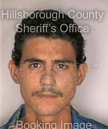 Ramirez Luis - Hillsborough County, FL 