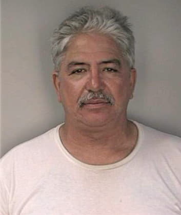 Pelaez Frank - Hillsborough County, FL 