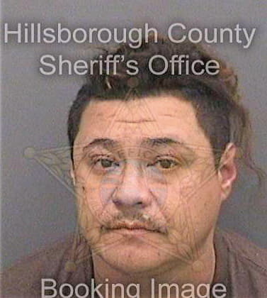 Garcia Jubenal - Hillsborough County, FL 