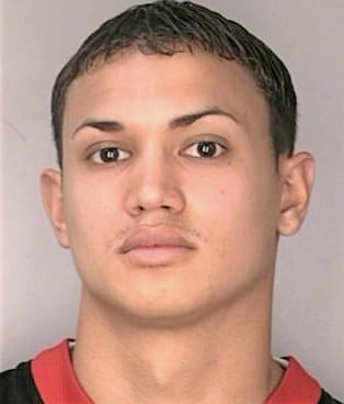 Soto Santos - Hillsborough County, FL 