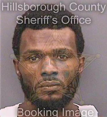 Lewis Travis - Hillsborough County, FL 