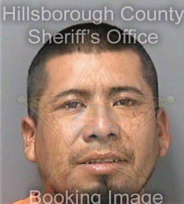 Navarro Hugo - Hillsborough County, FL 