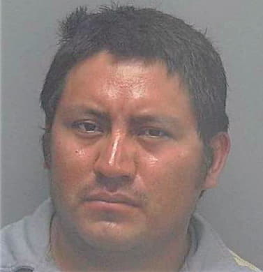 Sarat Damian - Lee County, FL 