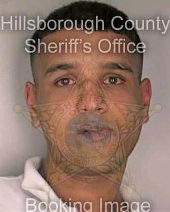 Thomas George - Hillsborough County, FL 