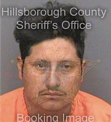 Deleonvelasquez Anibal - Hillsborough County, FL 