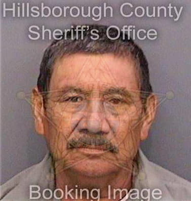 Mendoza Pedro - Hillsborough County, FL 