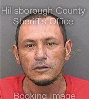 Lopez Alejandro - Hillsborough County, FL 