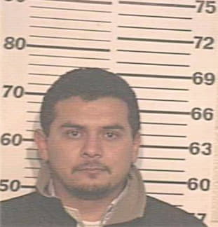 Gonzalez Julio - Hidalgo County, TX 