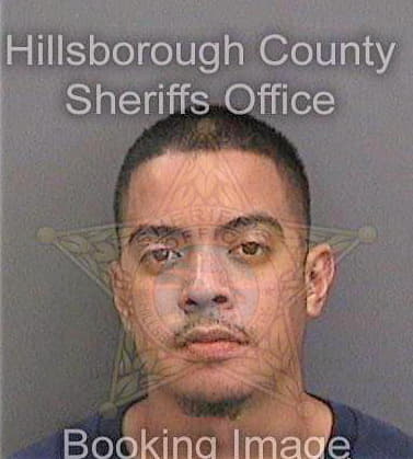 Fuentes David - Hillsborough County, FL 