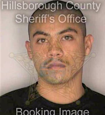 Martinez Rogelio - Hillsborough County, FL 