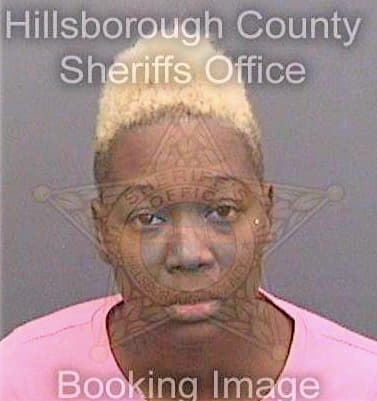 Mccrimmon Fairrin - Hillsborough County, FL 
