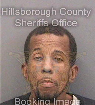 Thompson Gregory - Hillsborough County, FL 