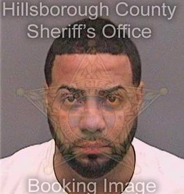 Bonilla Luis - Hillsborough County, FL 