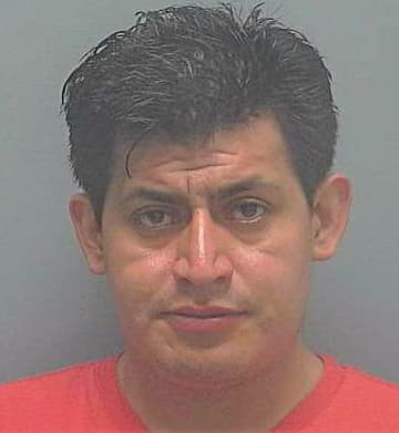 Hernandez Marino - Lee County, FL 