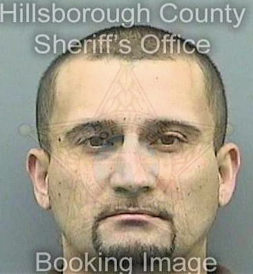 Figueroa Reinaldo - Hillsborough County, FL 