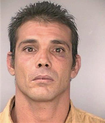 Silva Roberto - Hillsborough County, FL 