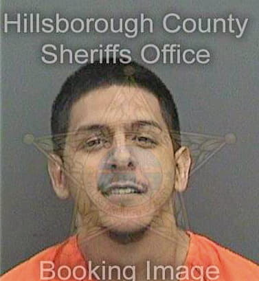 Delgado Mario - Hillsborough County, FL 