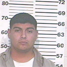 Silva Francisco - Hidalgo County, TX 