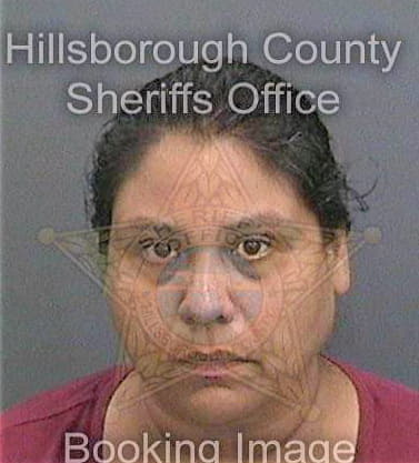 Martinez Michelle - Hillsborough County, FL 