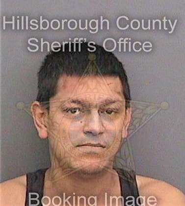 Chowdhury Syed - Hillsborough County, FL 