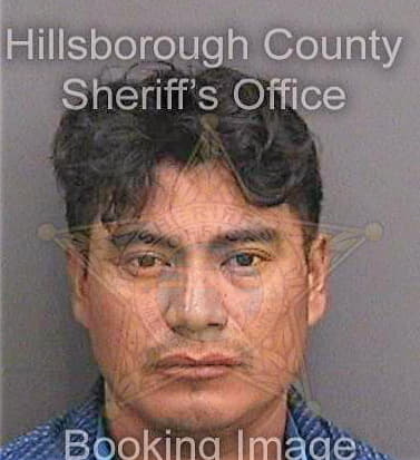 Jimenezgomez Alejandro - Hillsborough County, FL 