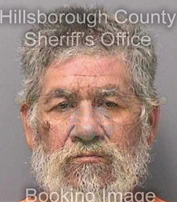 Salas Alfonso - Hillsborough County, FL 