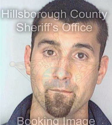 Dasilva Christopher - Hillsborough County, FL 