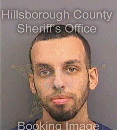 Gonzalez Michael - Hillsborough County, FL 