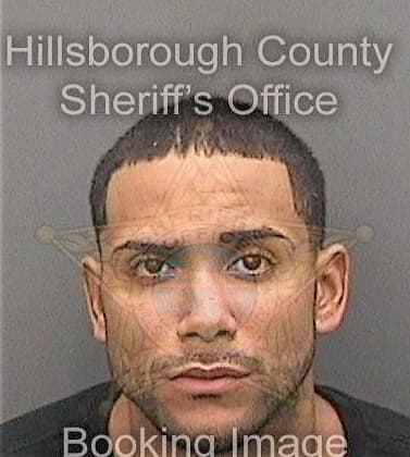 Velezmaldonado Misael - Hillsborough County, FL 