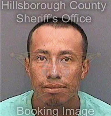 Martinez Fredy - Hillsborough County, FL 