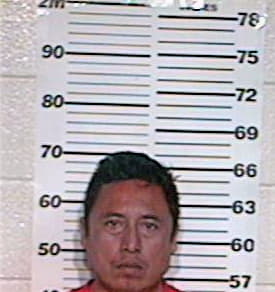 Hernandez Julian - Hidalgo County, TX 