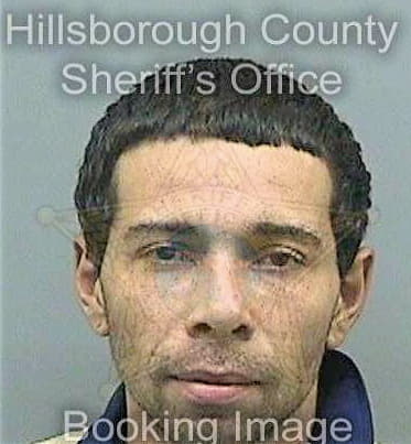 Sanchezcolon Omar - Hillsborough County, FL 