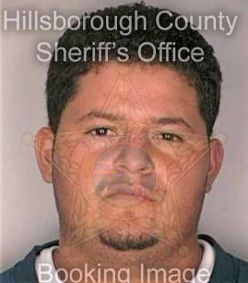 Meza David - Hillsborough County, FL 