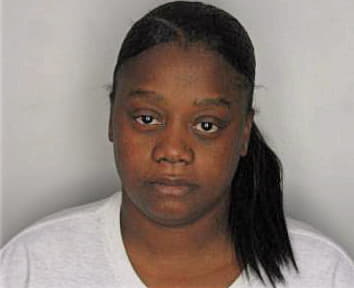 Nelson Tameika - Hillsborough County, FL 